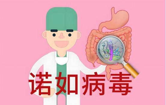 微信圖片_20250220084626.png